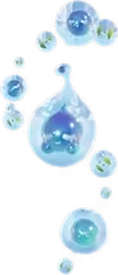 Dewple, Basic form, official art
