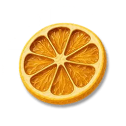 Dried Lemon Slices