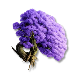 Starine Tree