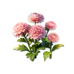 Pink Pom Daisy
