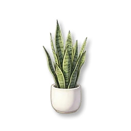 Potted Snake Plant